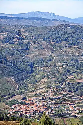 Lalim
