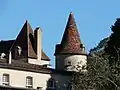 Les toits du château.