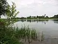 La Saône (imp. de Thorey).