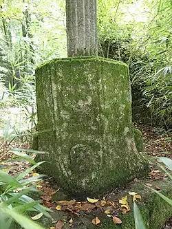 Socle
