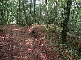 Vestiges de l'oppidum du Poulailler.