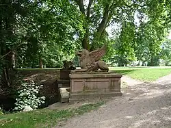 Griffon