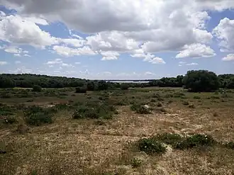 Paysage