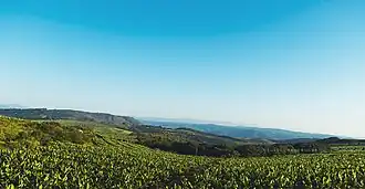 Hazyview
