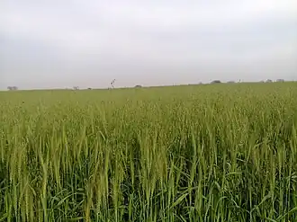 Pind Dadan Khan