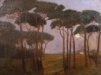 Paysage aux pins