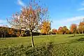 Parc paysager Hachinger Tal - pré verger