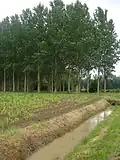 Paysage à Floudès (août&nbsp;2008)