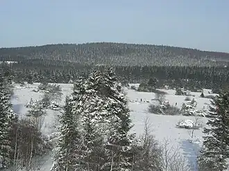 Vue du Langenberg en hiver depuis le Clemensberg.