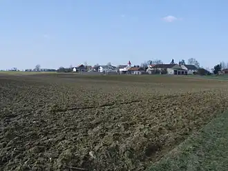 Langensallach