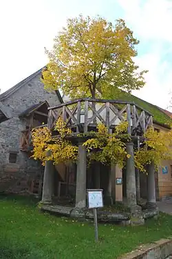 Tilleul de danse à Langenstadt&nbsp;(de).