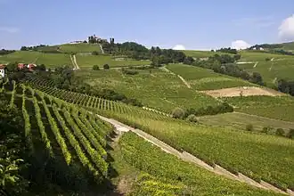 Langhe.