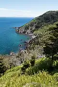 Anse à la Vierge.