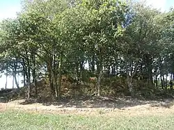 Image illustrative de l’article Tumulus de Kermain