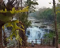 Chute d'eau à Tadlo, Province Salavanh.