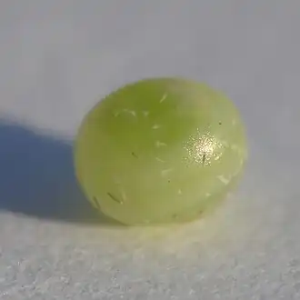 Œuf