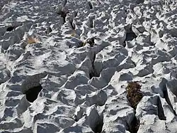 Lapiaz