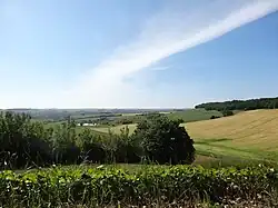 Point de vue.
