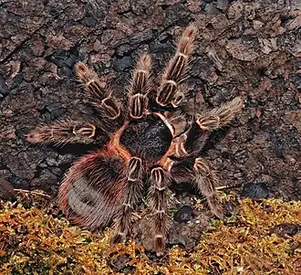 Description de cette image, également commentée ci-après