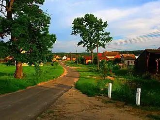 Laski (Czerwieńsk)