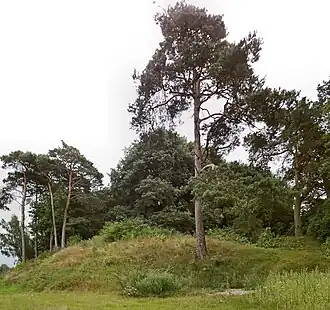 Laskowo (Chodzież)