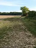 La voie Angoulême - Bourges au Grand Peyrat.