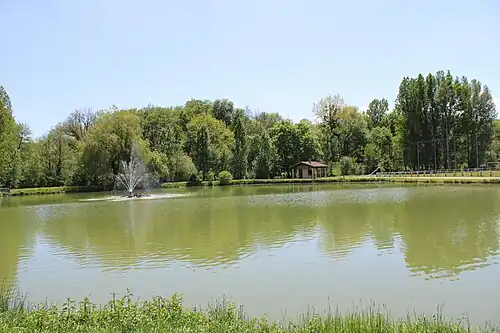 L'étang.