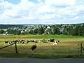 Vue sur le village à partir du sud-est.