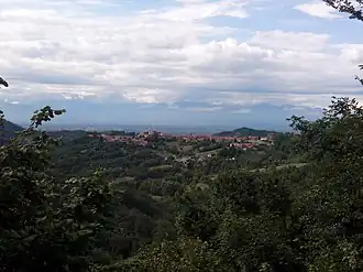 Lauriano