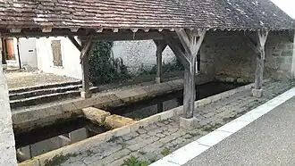 Échilleuses