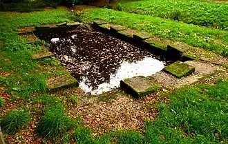 Photographie en couleurs d'un lavoir en pierre en partie couvert de feuilles, à l'automne.