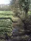 Le Bréon entre la Houssaye-en-Brie et Marles-en-Brie.