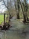 Le Bréon en aval d'Écoublay.