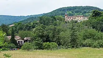 Carla-de-Roquefort