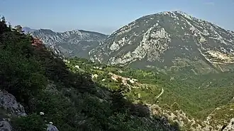 Salvezines