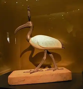 Thot ibis.