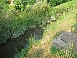 Le Liéton.