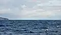 Détroit de Le Maire (Péninsule Mitre en Terre de Feu à droite, île des États à gauche)