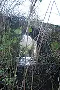 Le ruisseau de Lamode, affluent de l'Aran, au niveau des restes du « Mouliot », qu'il actionnait.