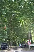 L'allée d'accès au manoir de la Pellonnière.