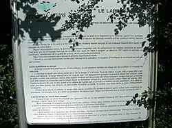Les larris.
