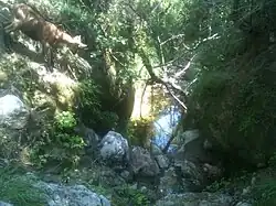 Le Rayol.