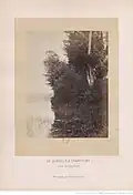 De Joinville à Champigny, étude de végétation, 1864