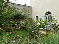 La roseraie du jardin médiéval