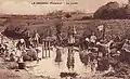 Le Drennec : femmes autour du lavoir (milieu du XXe&nbsp;siècle ou avant).
