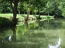 Marais mouillé : Conche à La Garette.