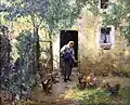 Le nourrissage des poules