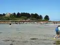 Un groupe de chevaux fait la traversée du bras de mer qui subsiste à marée basse.