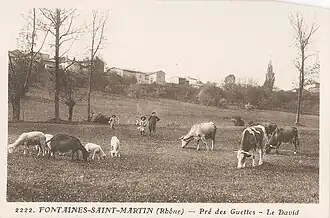 Le pré des Guettes
