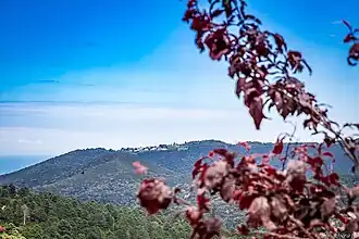 Serra-di-Fiumorbo